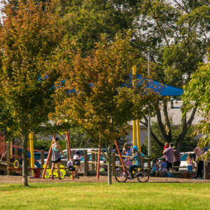 Print Sparow Park 2 3