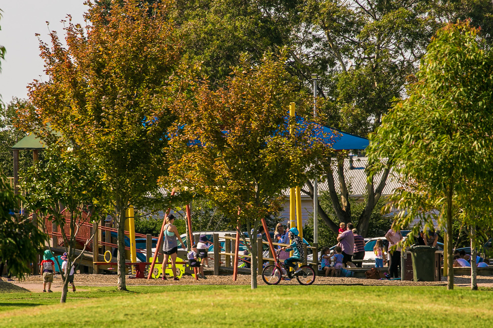 Print Sparow Park 2 3