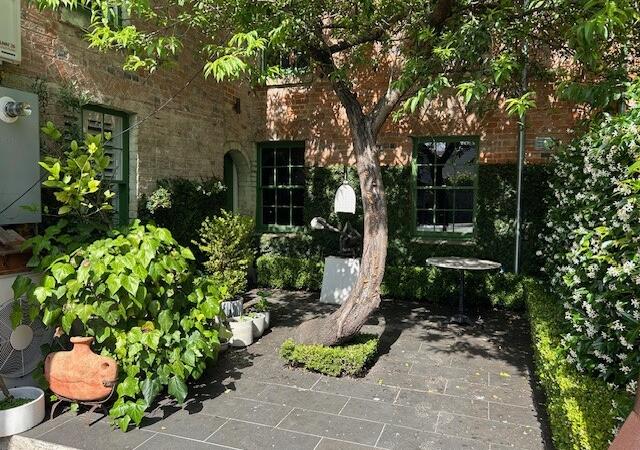 Backpatio1