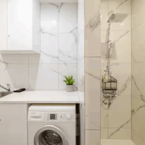 Bathroomlaundry